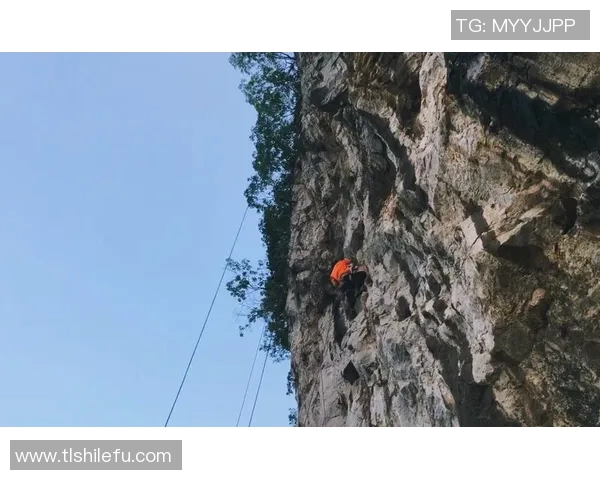 武汉攀岩队的奋斗历程与成长故事全景纪实